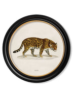 c.1836 Jaguar - Round Frame