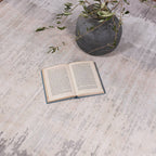 Juno 200x290cm Greige Rug Rug