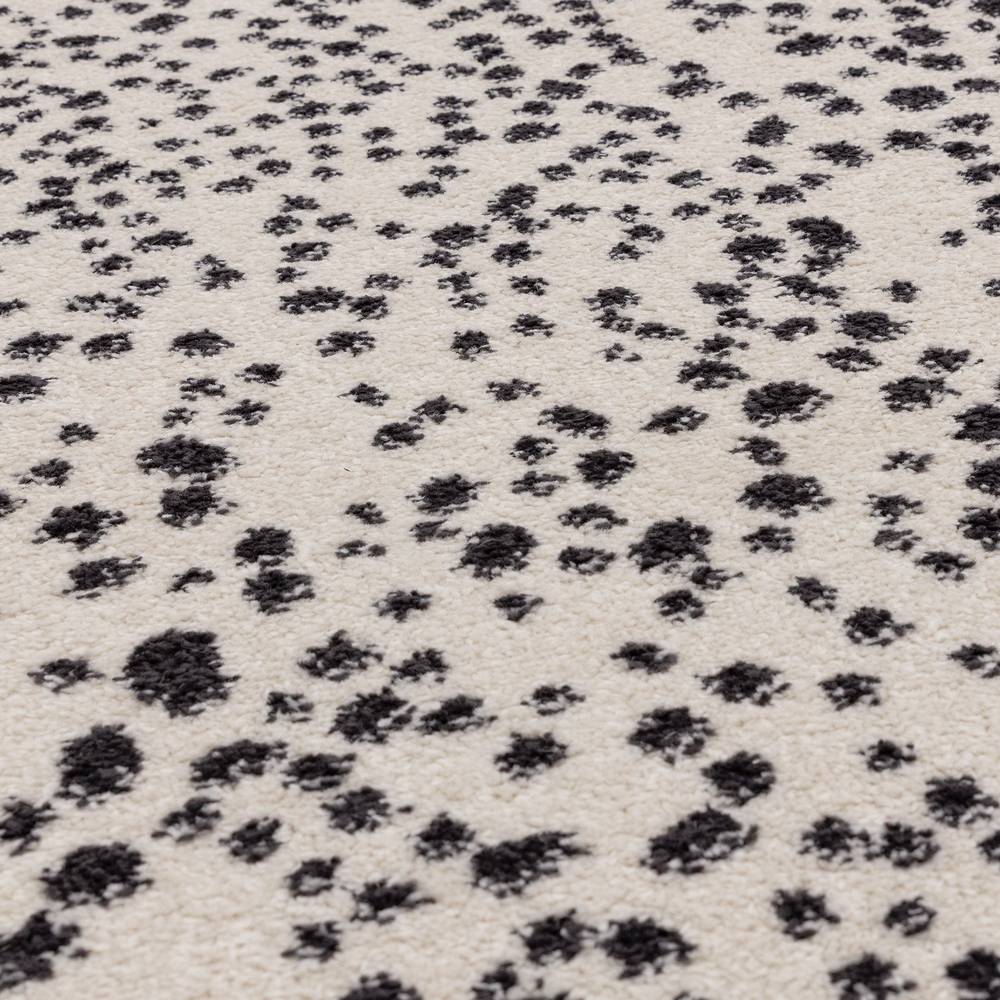 Muse 200x290cm Black Spotty Rug MU11 Rug