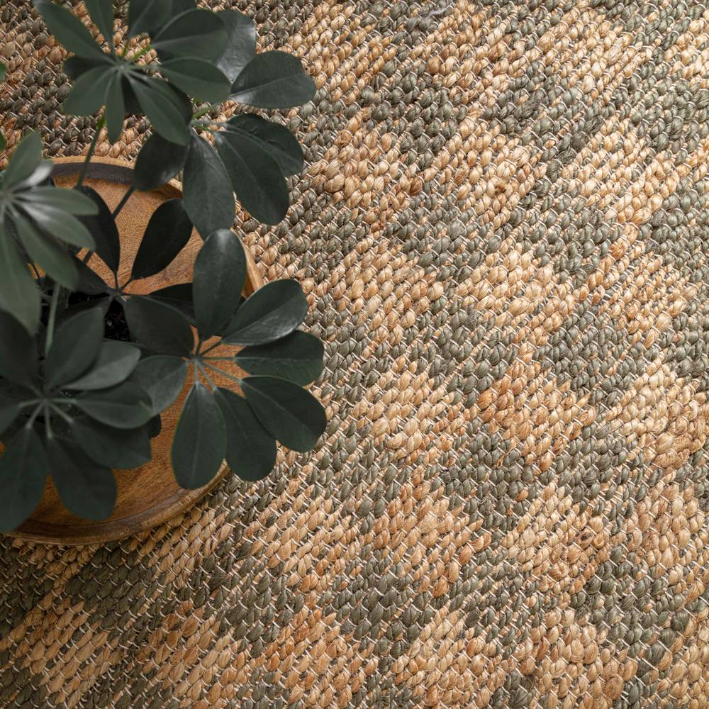 Naturi 200x290cm Olive Green Rug