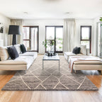 Noah 160x230cm Charcoal Rug