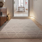 Noah 160x230cm Silver Rug