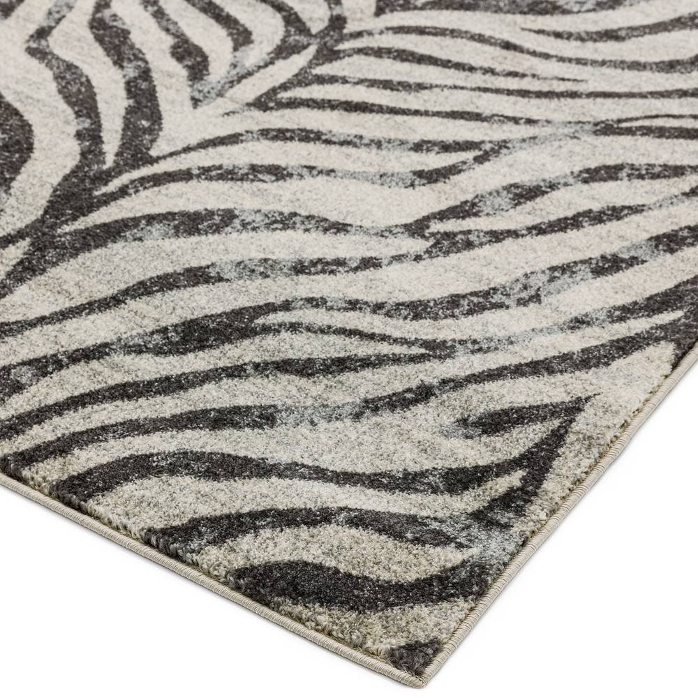 Nova 160x230cm Zebra Grey Rug NV27 Rug