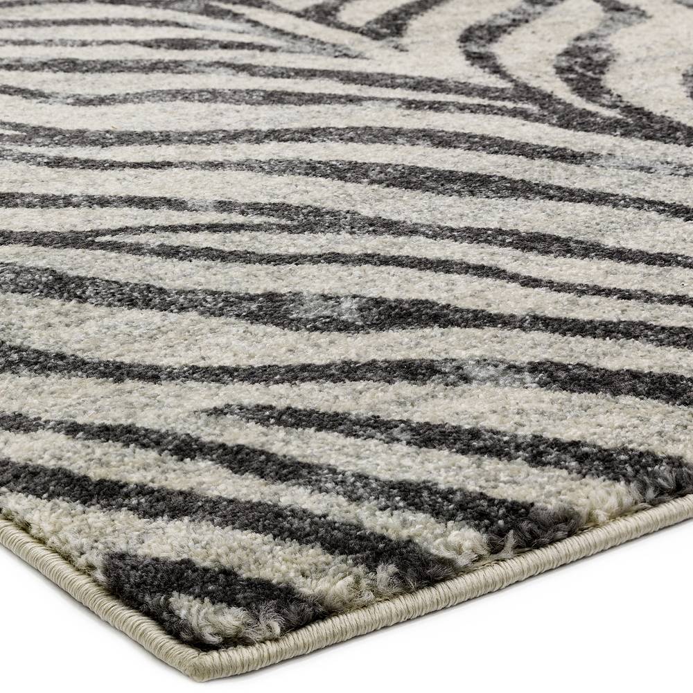 Nova 160x230cm Zebra Grey Rug NV27 Rug