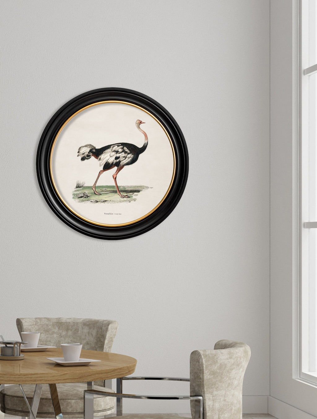 c.1846 Ostrich - Round Frame