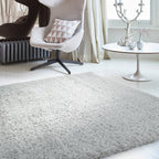 Payton 120x170cm Silver Rug