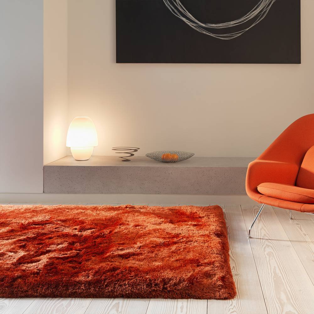 Plush Rug 120x170cm Rust Rug