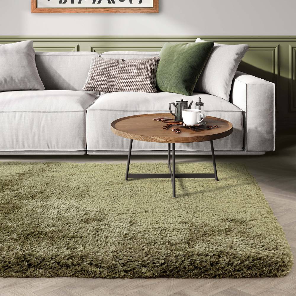 Plush Rug 160x230cm Sage Rug