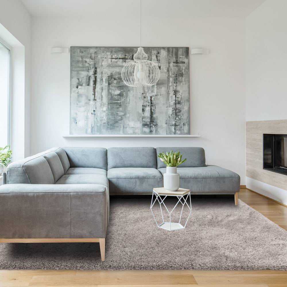 Ritchie 160x230cm Light Grey Rug Rug