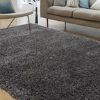 Ritchie 080x150cm Charcoal Rug Rug