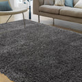 Ritchie 200x290cm Charcoal Rug Rug