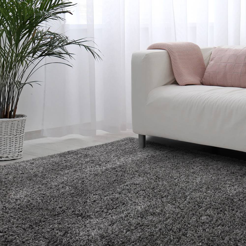 Ritchie 160x230cm Grey Rug Rug