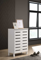 2 Door Shoe Cabinet