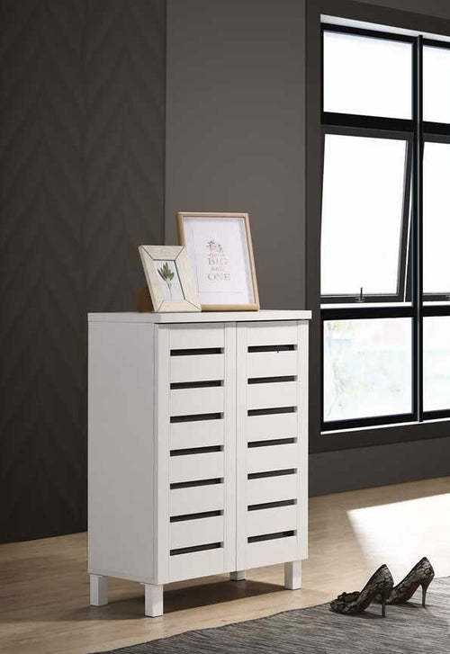 2 Door Shoe Cabinet