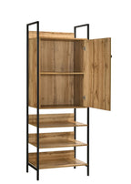 Storage Cabinet with 1 Door & 3 Shelves