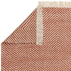 Vigo 160x230cm Rust Rug