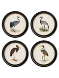 c.1870 Wading Birds in Round Frames