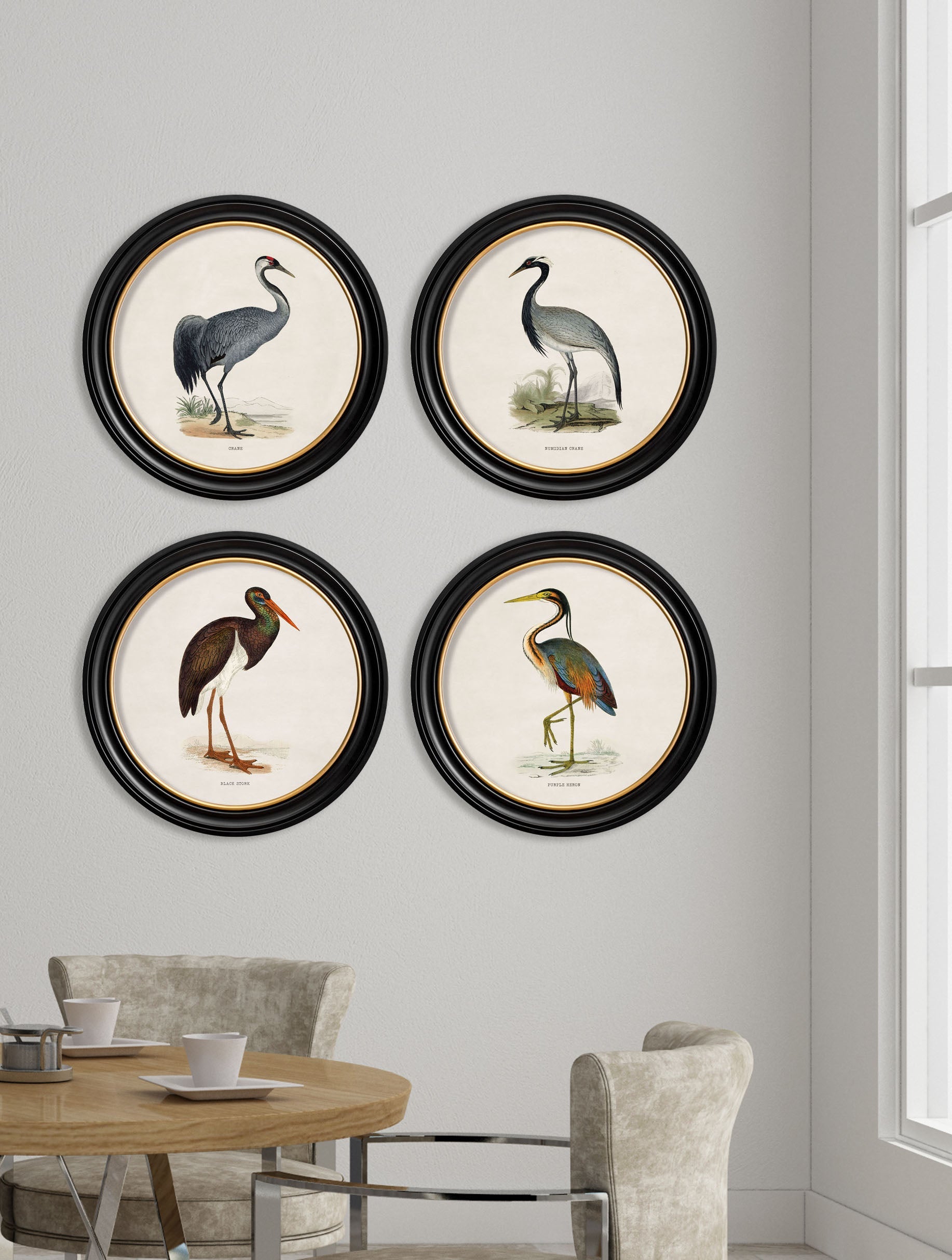 c.1870 Wading Birds in Round Frames